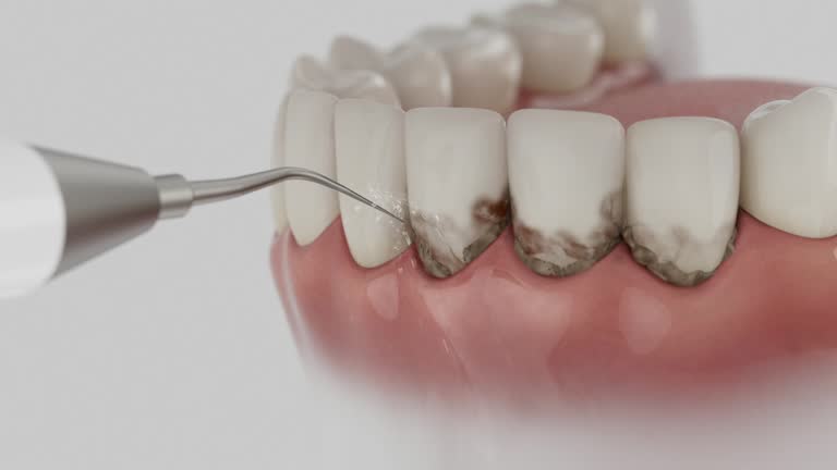 Reliable Dental contractor in Braddock Heights, MD by Dentist Open Now